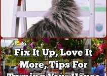 Fix It Up, Love It More, Tips For Turning Your House Into Your Dream Home