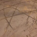 Unveiling the actress who portrayed Al Borland's girlfriend on the popular sitcom 'Home Improvement'!