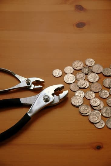 Step-by-step guide on how to improve soil fertility at home for optimal plant growth