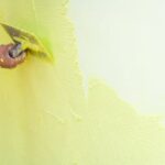 Learn effective tips to improve cardiovascular fitness at home with these simple workout routines