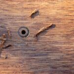 AR Home Improvement Fredericksburg VA: Renovations, repairs, and upgrades for your home in Virginia