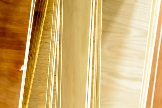 Randy in Home Improvement season 2 is a 10th grade student