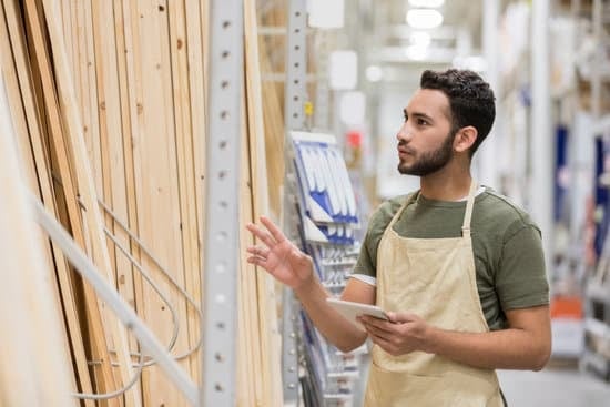 Pamela Anderson guest-starred as Lisa, the Tool Time Girl, on the TV show Home Improvement