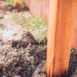 Enhance curb appeal and value with energy-efficient windows - Do Windows Improve Home Value