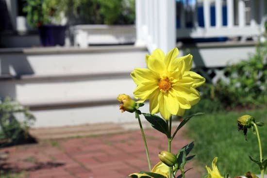 What time does Home Improvement air