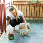 How to Grow a Home Improvement Business: 10 Proven Strategies for Success