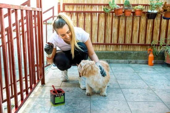 Wilson peeks over the fence, revealing only half of his face – Home Improvement