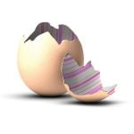 Exploring if Sears is seen as part of the home improvement world