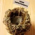 Renovations, Turkey, and Gratitude