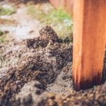 Top players in the home improvement industry, WHO DOMINATES THE HOME IMPROVEMENT INDUSTEY