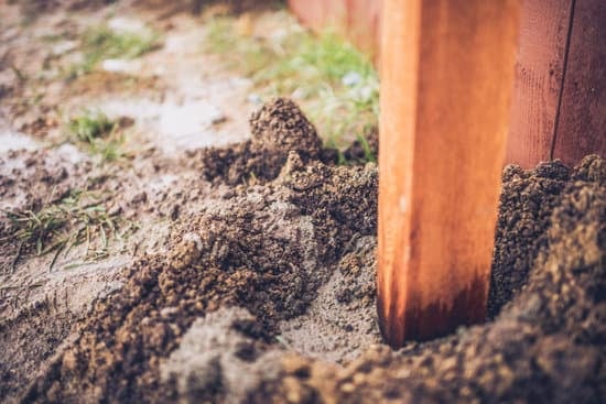 Top players in the home improvement industry, WHO DOMINATES THE HOME IMPROVEMENT INDUSTEY