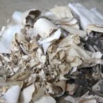 Enhance property worth with strategic home updates like kitchen remodels or bathroom renovations