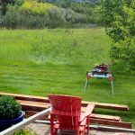 Understanding if they're tax-deductible this year